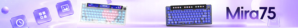banner5.jpg